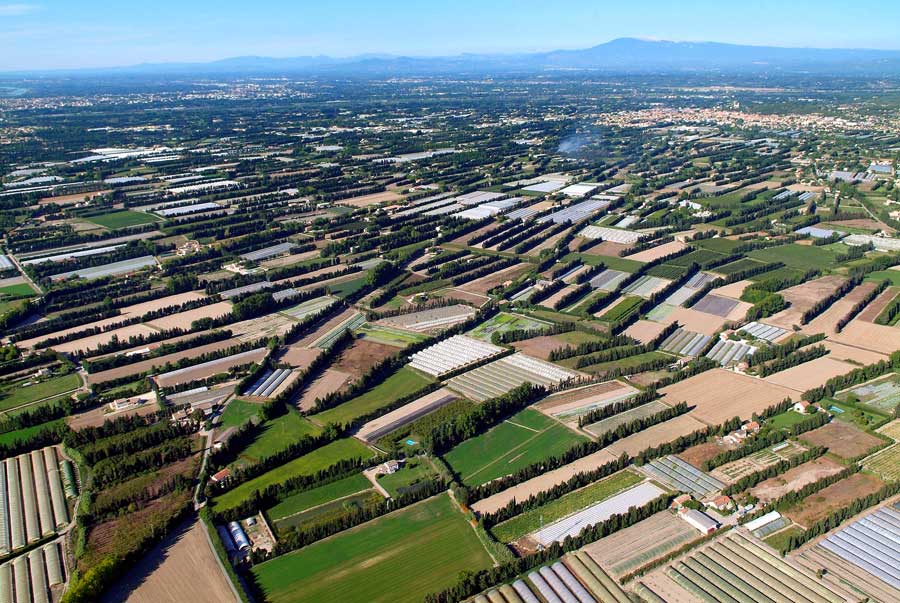 84agriculture-vaucluse-33-0806