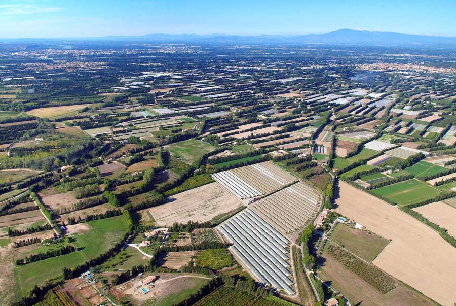 84agriculture-vaucluse-35-0806