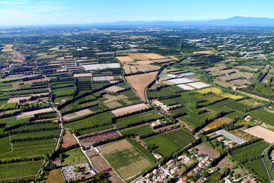 84agriculture-vaucluse-37-0806