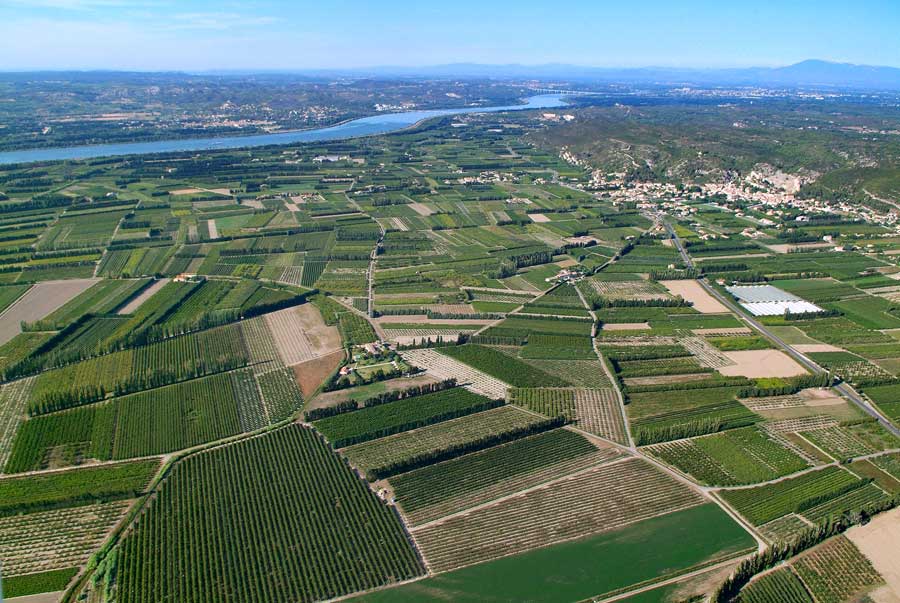 84agriculture-vaucluse-38-0806