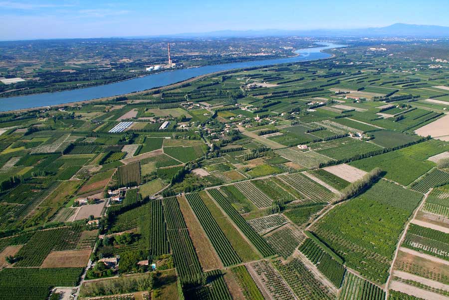 84agriculture-vaucluse-40-0806