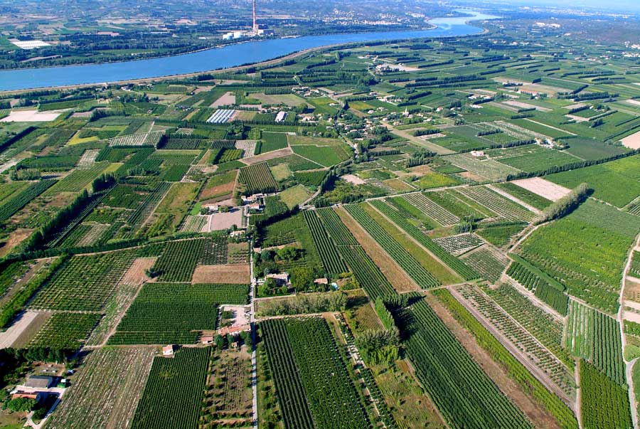 84agriculture-vaucluse-41-0806