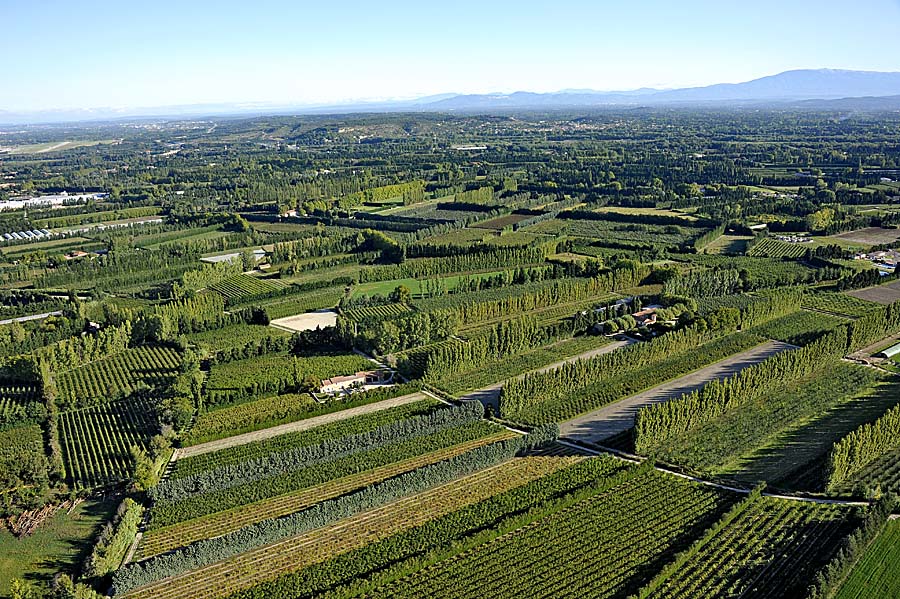 84agriculture-vaucluse-8-0911