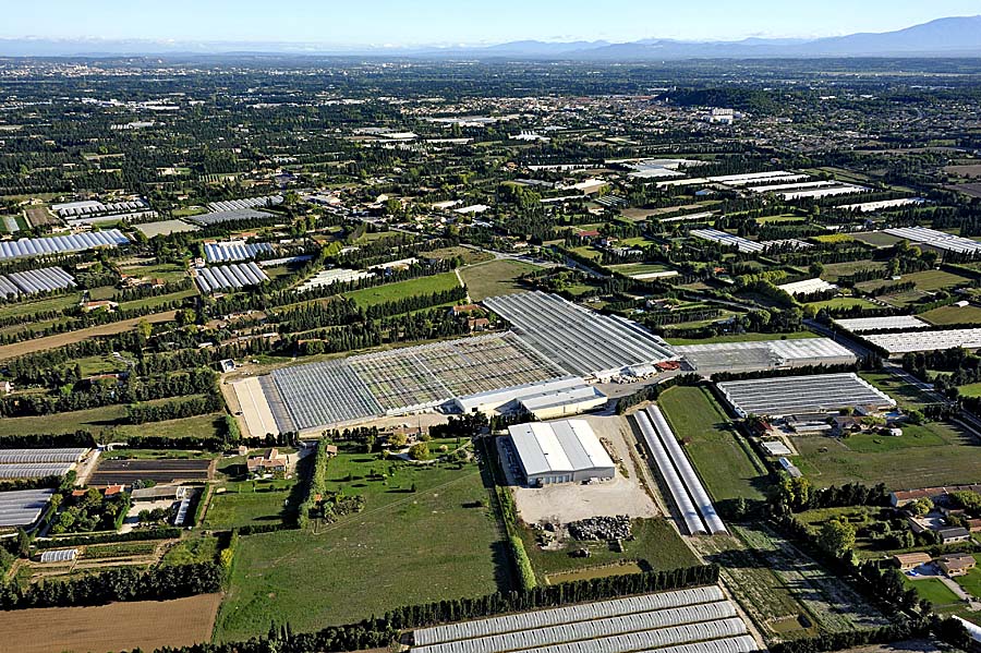 84agriculture-vaucluse-9-0911