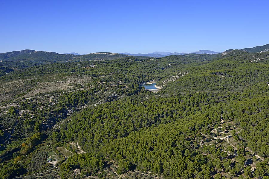 84foret-mont-ventoux-1-0915