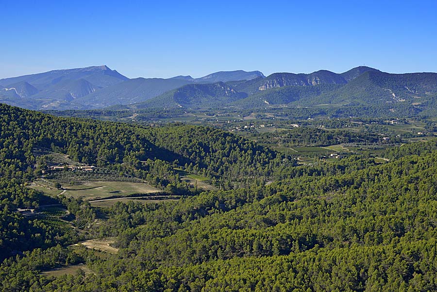 84foret-mont-ventoux-3-0915