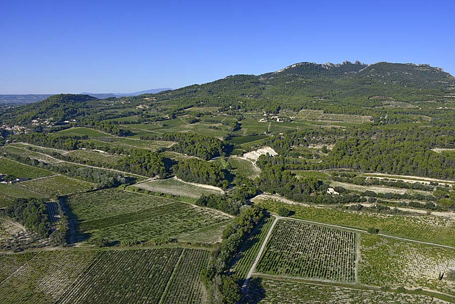 84vignoble-vaucluse-5-0915