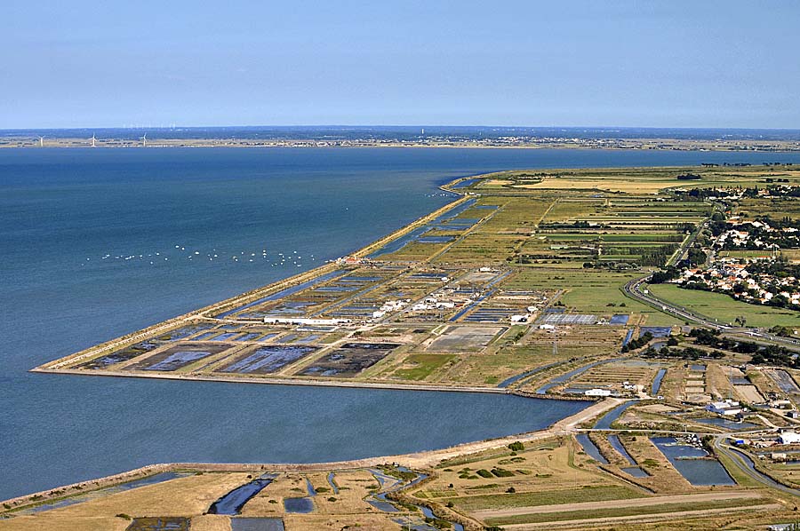 85ile-de-noirmoutier-13-0809