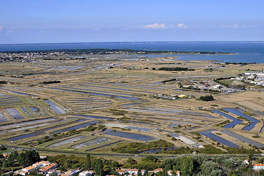 85ile-de-noirmoutier-20-0809