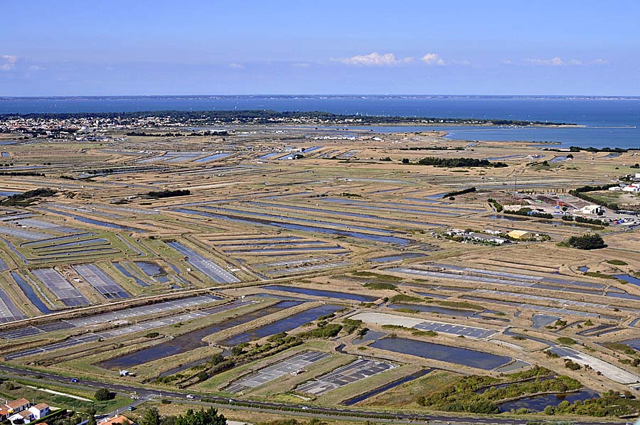 85ile-de-noirmoutier-9-0809