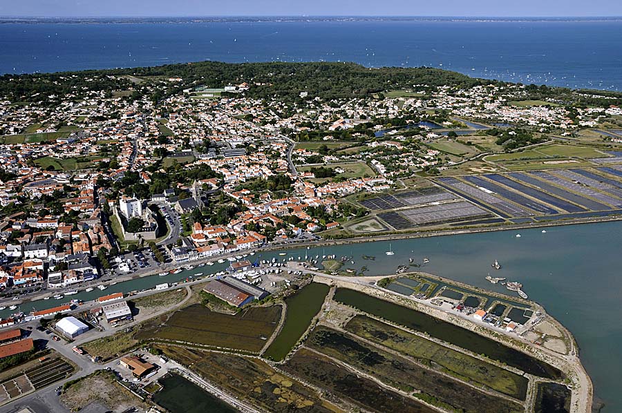 85noirmoutier-en-l-ile-3-0809