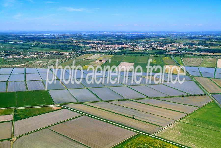 00agriculture-25-0506
