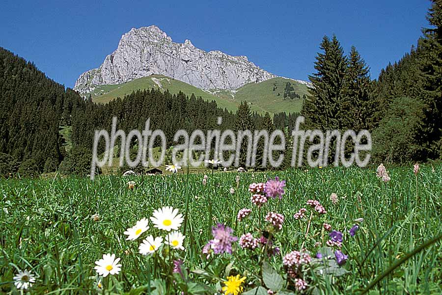 00alpes-paysage-14-e