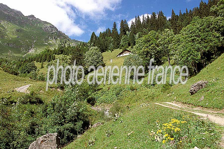 00alpes-paysage-22-e