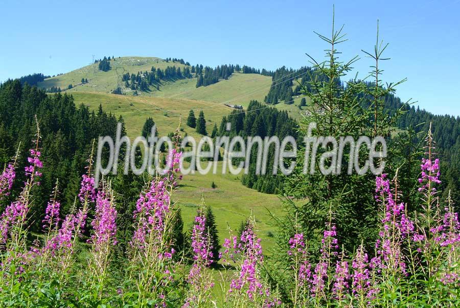 00alpes-paysage-25-0804