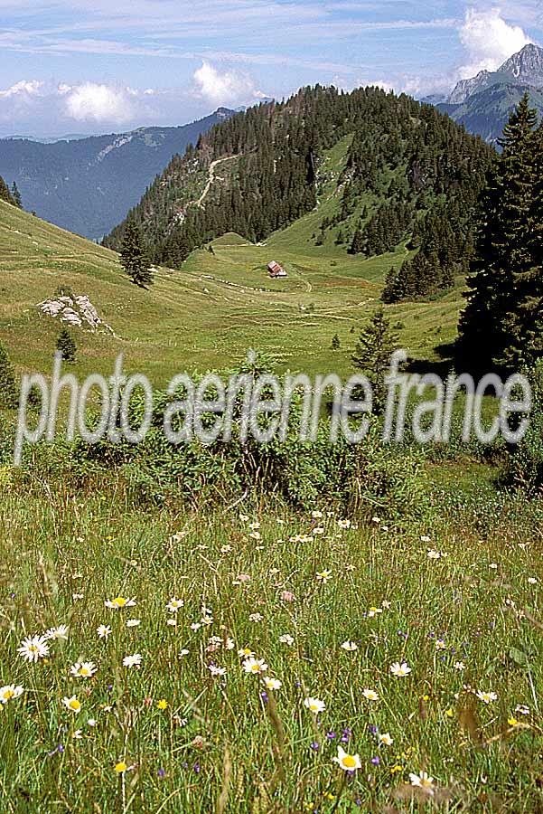 00alpes-paysage-25-e