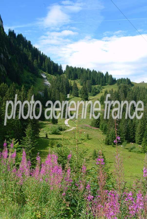 00alpes-paysage-7-0804