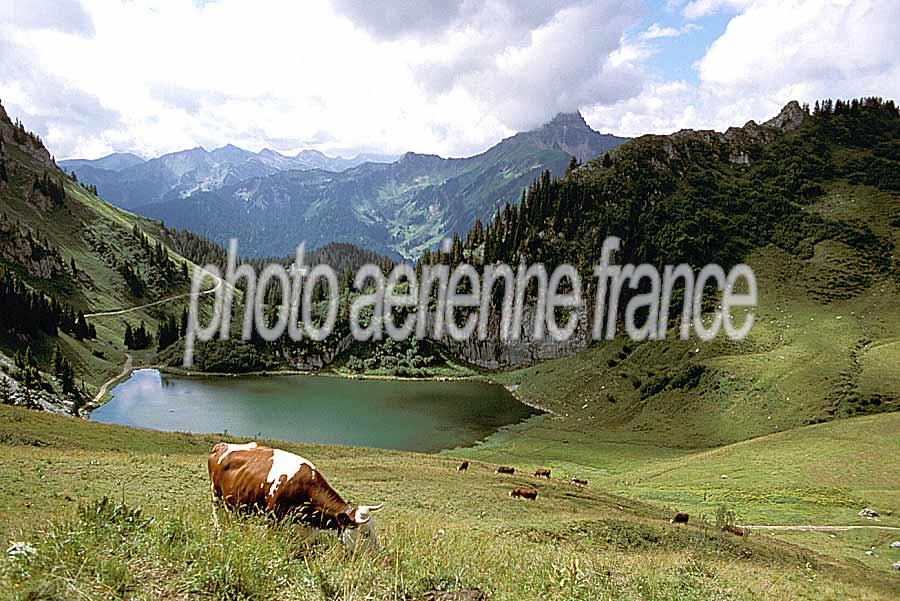 00alpes-paysage-7-e