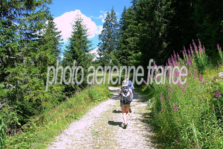 00alpes-randonnee-6-0804