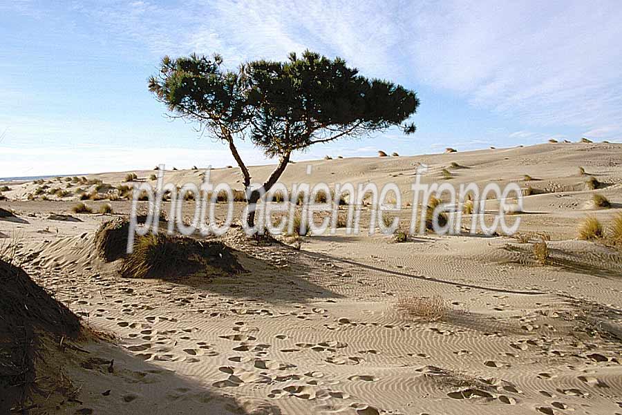 00dunes-20-e