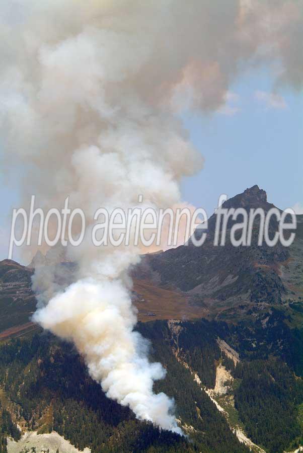 00feux-de-foret-9-0803