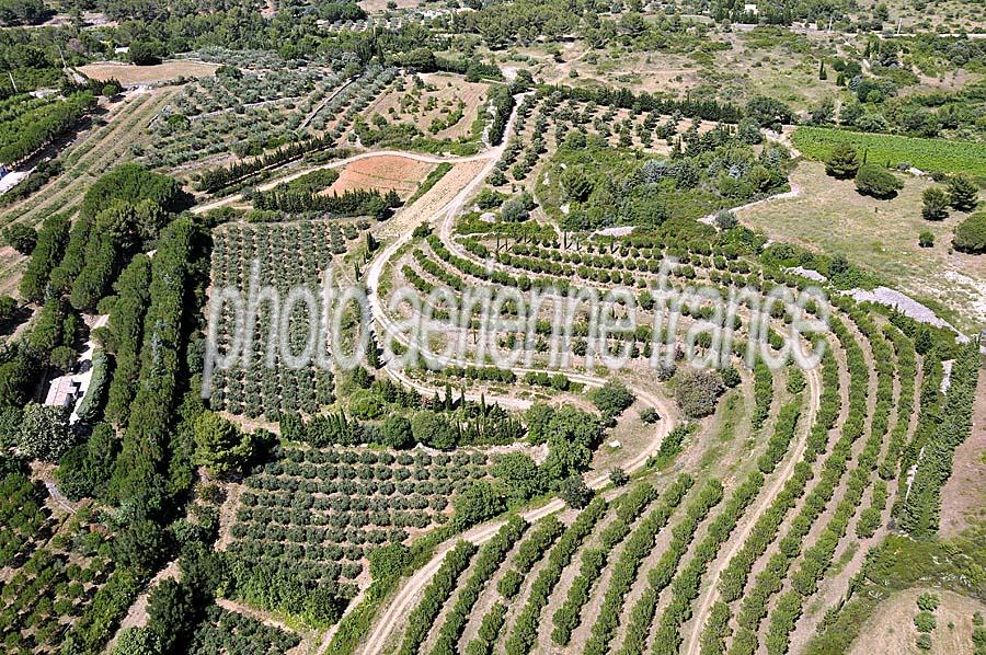 00foret-languedoc-1-0708