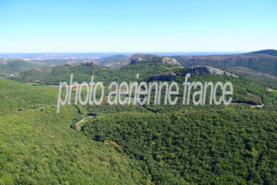 00foret-languedoc-7-0806