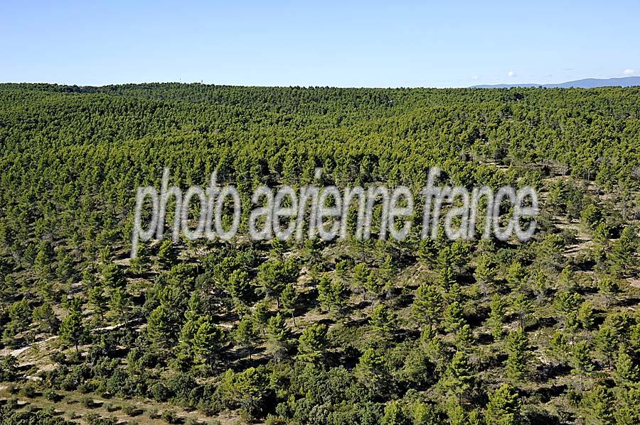 00foret-provence-19-0911