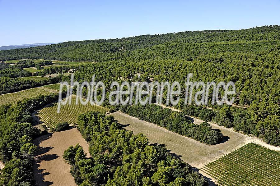 00foret-provence-22-0911