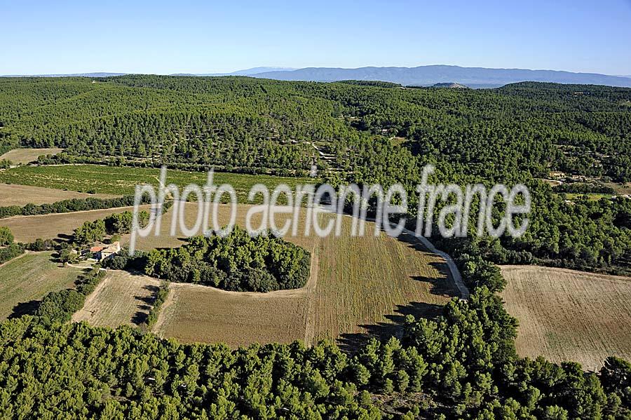 00foret-provence-30-0911