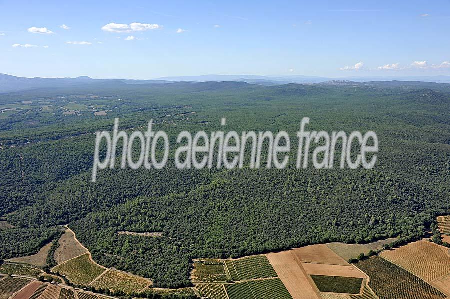 00foret-provence-5-0911