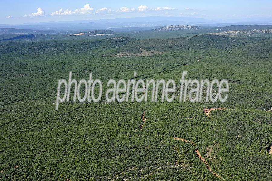 00foret-provence-7-0911