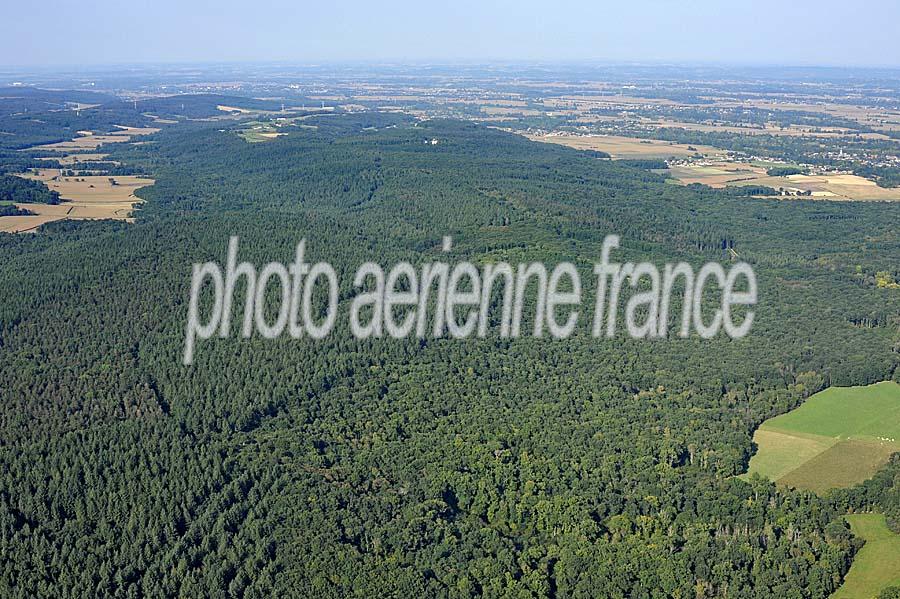 00foret-pyrenees-1-0911