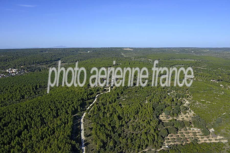 00garrigue-1-1115