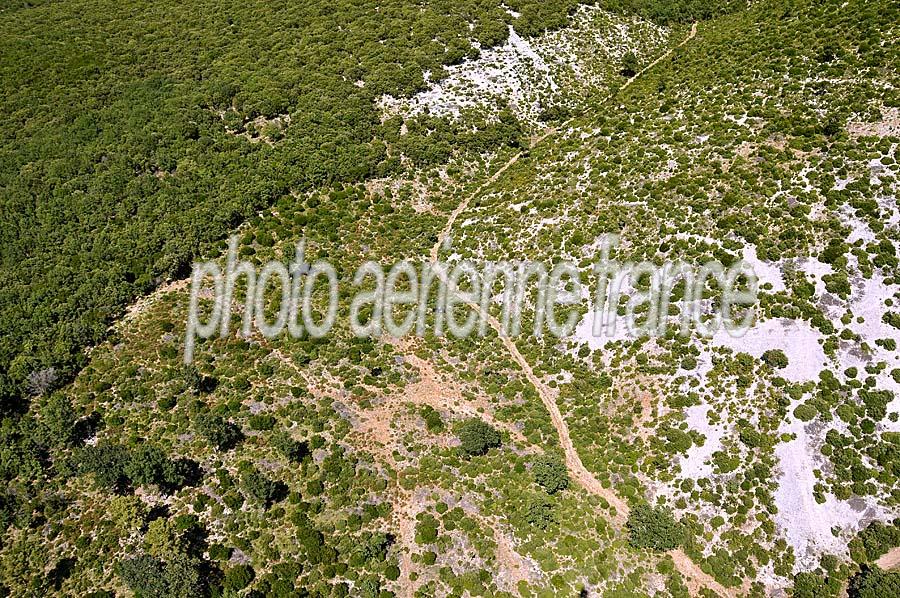 00garrigue-3-0608