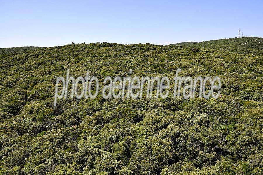 00garrigue-5-0608