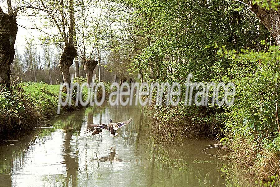 00marais-poitevin-1-e