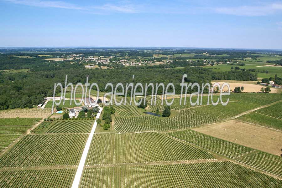 00vigne-bordelais-1-0605