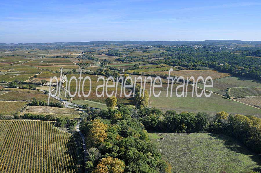 00vigne-languedoc-1-1009