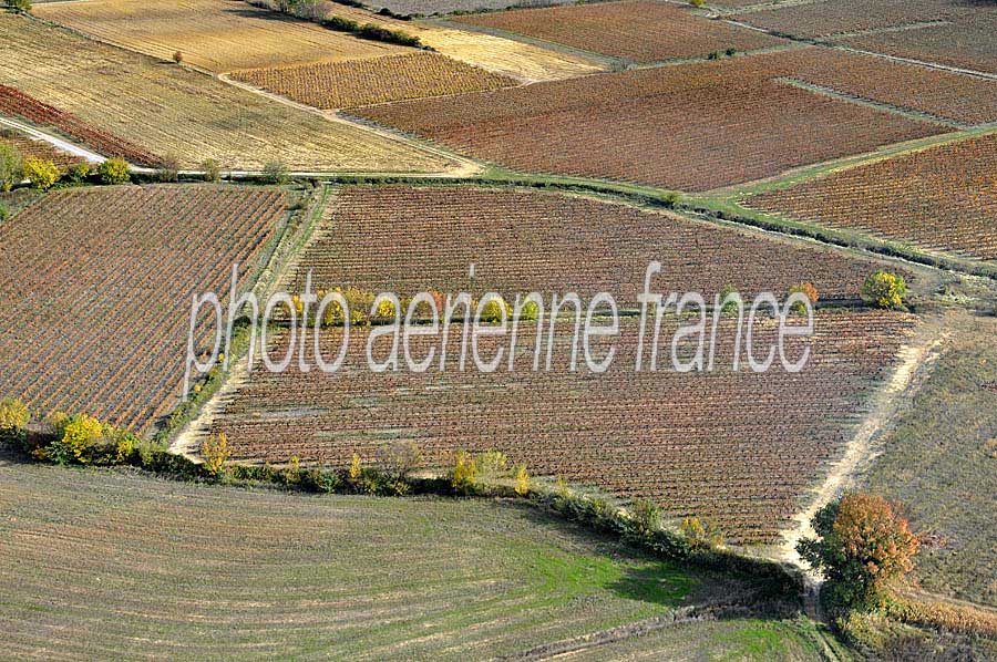 00vigne-languedoc-10-1009