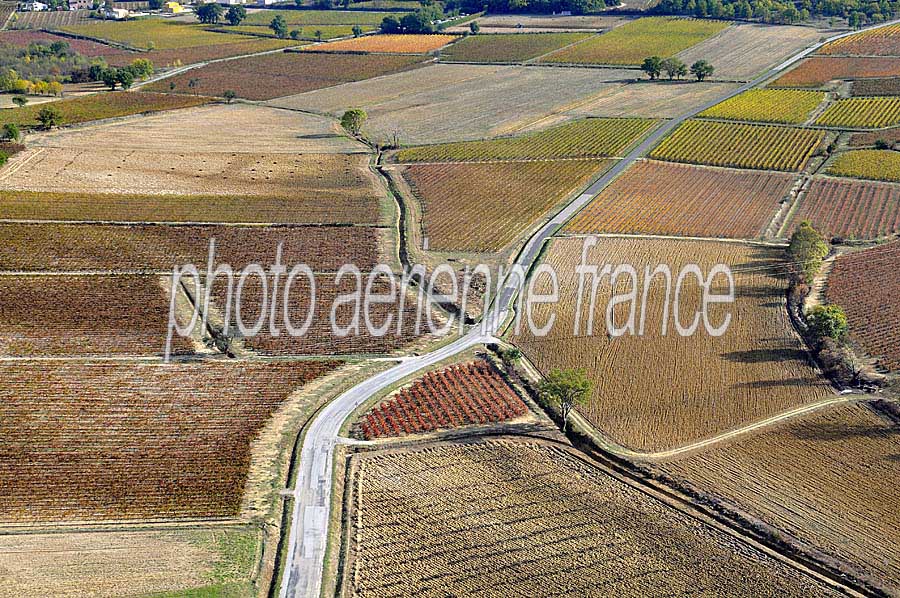 00vigne-languedoc-12-1009