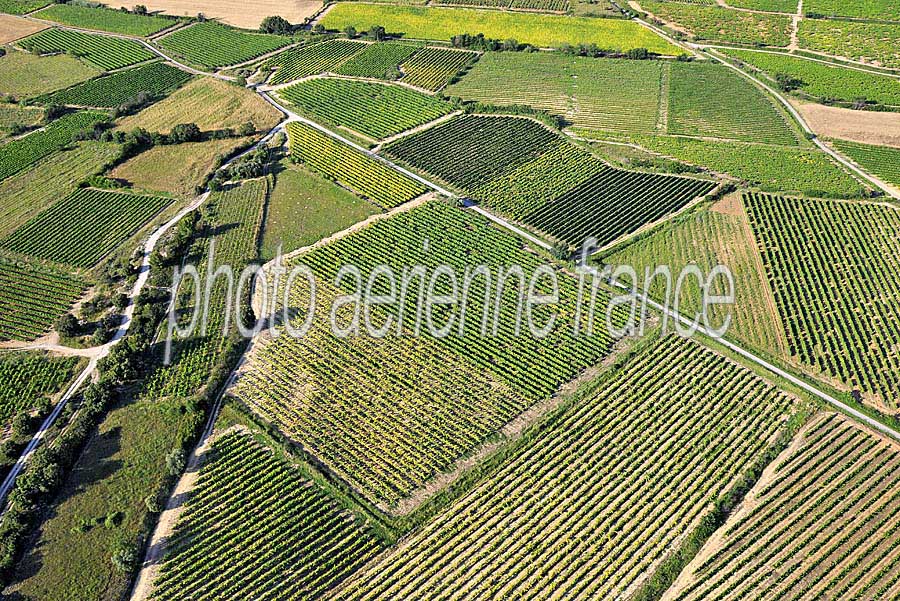 00vigne-languedoc-14-0608