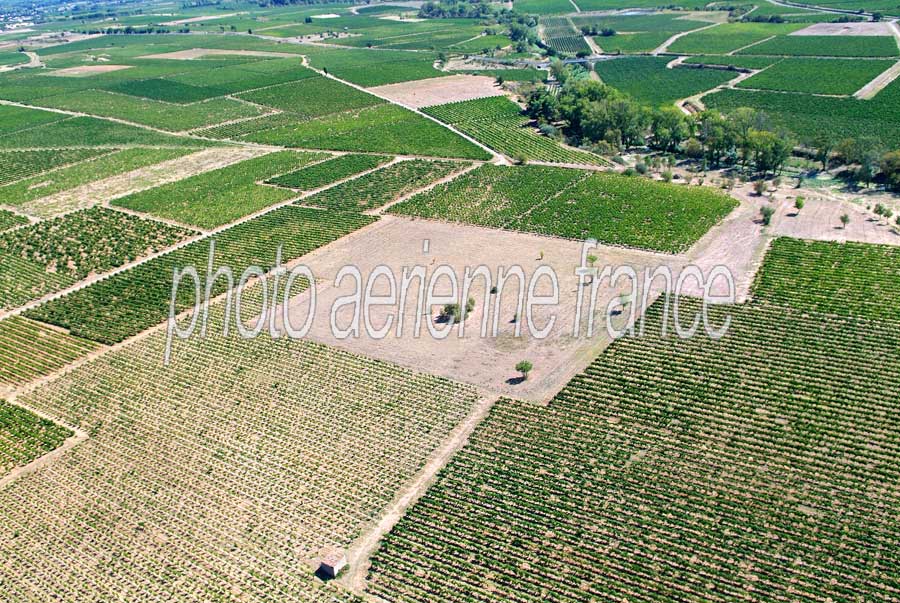 00vigne-languedoc-14-0806