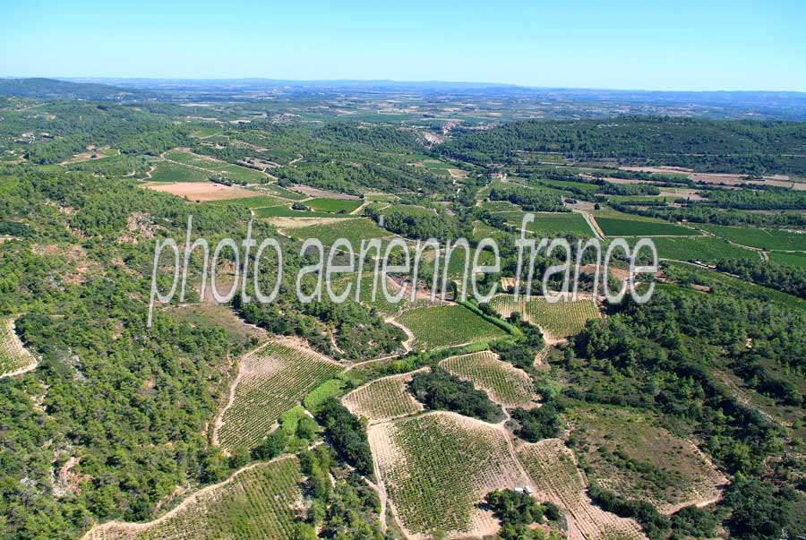 00vigne-languedoc-16-0806