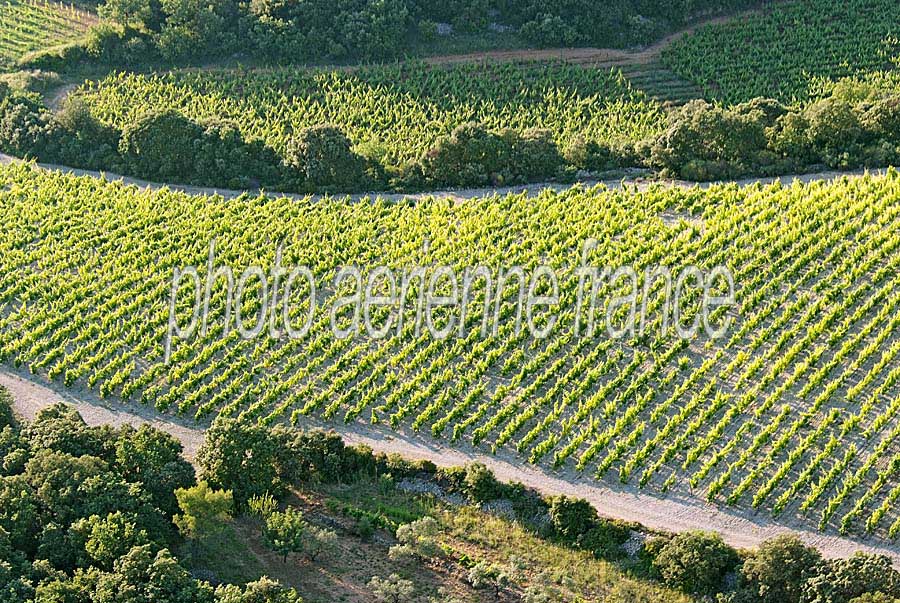 00vigne-languedoc-17-0608