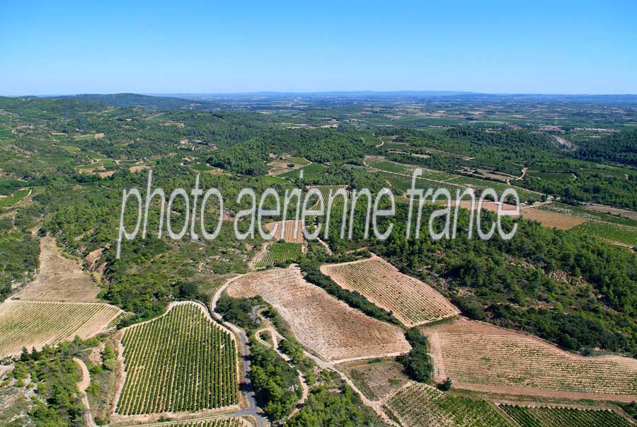 00vigne-languedoc-17-0806