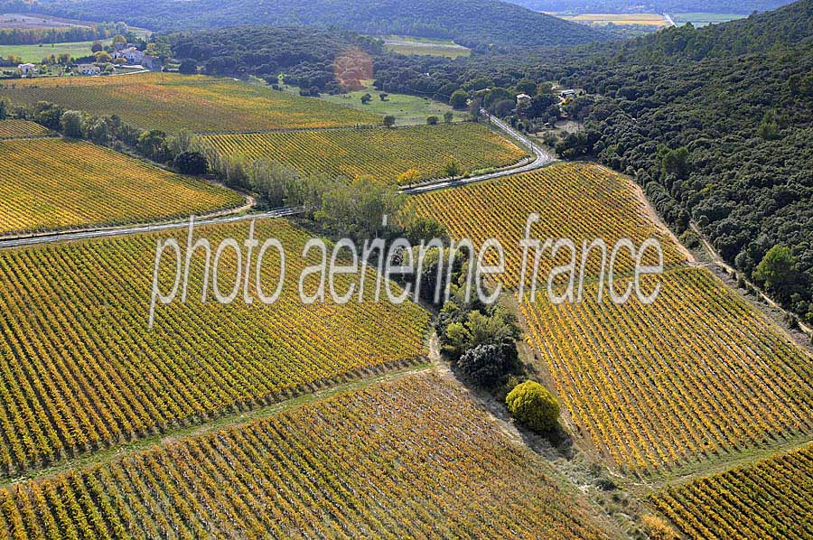 00vigne-languedoc-17-1009