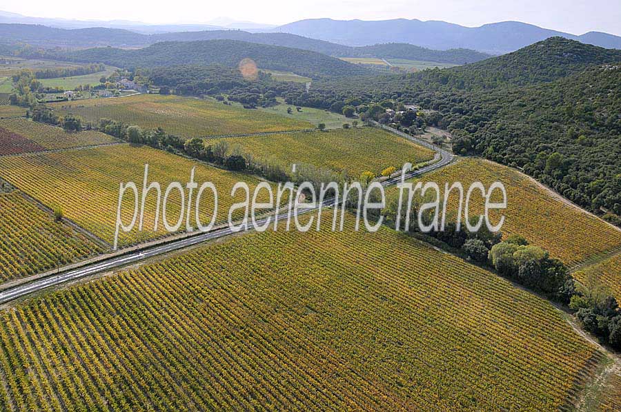 00vigne-languedoc-18-1009