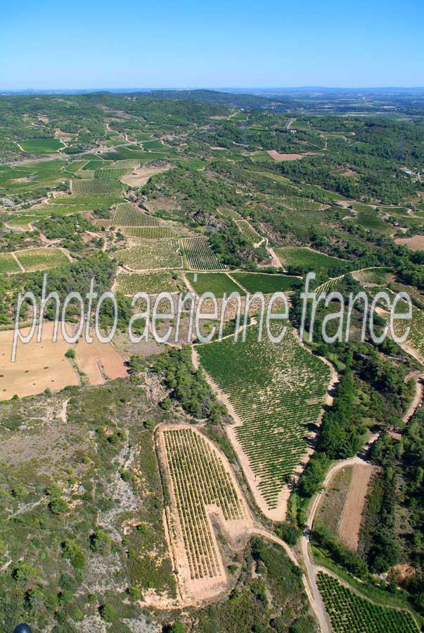 00vigne-languedoc-19-0806