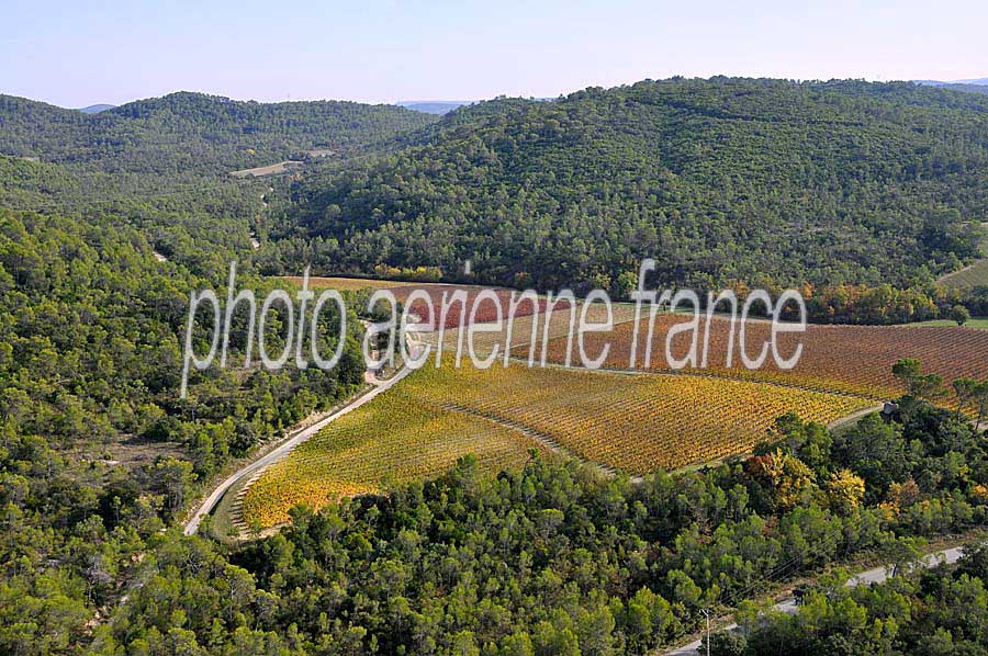 00vigne-languedoc-19-1009